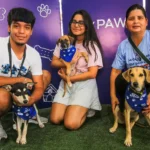 Ford-Cincuentenario-NG8A5959-copia