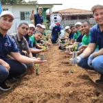 MicrosoftTeams-image (47) copia